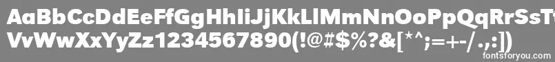 UrwgrotesktBold Font – White Fonts on Gray Background