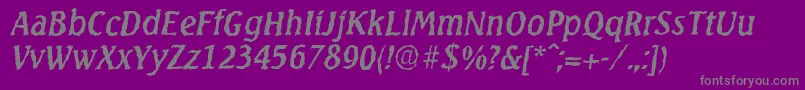 フォントSeagullrandomItalic – 紫の背景に灰色の文字