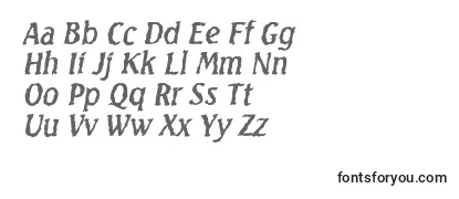 SeagullrandomItalic Font