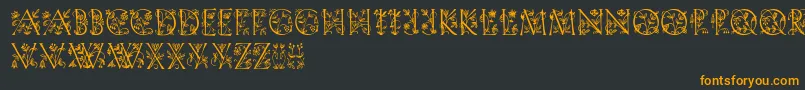 More about Gardendisplaycaps Font Gardendisplaycaps Font – Orange Fonts on Black Background