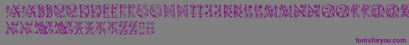 Gardendisplaycaps-fontti – violetit fontit harmaalla taustalla