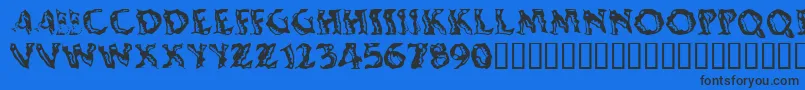 Shakingsalsa Font – Black Fonts on Blue Background