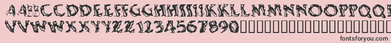 Shakingsalsa Font – Black Fonts on Pink Background
