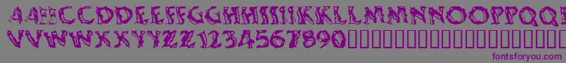 Shakingsalsa-Schriftart – Violette Schriften auf grauem Hintergrund