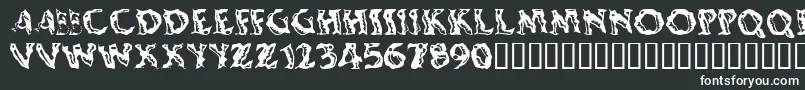 Шрифт Shakingsalsa – белые шрифты