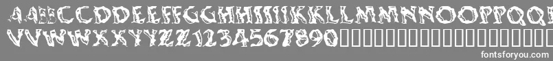 Shakingsalsa Font – White Fonts on Gray Background