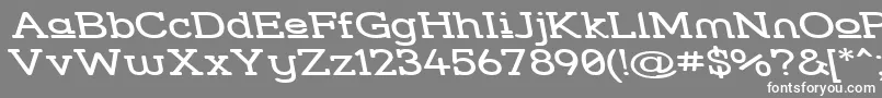 フォントStresuwr – 灰色の背景に白い文字