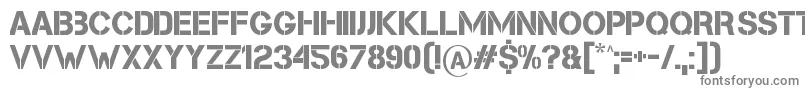 Cleanwork Font – Gray Fonts on White Background
