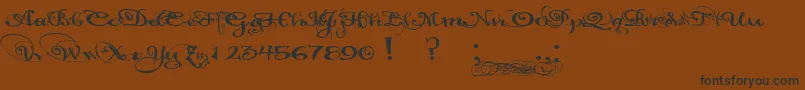 PaulsCaliforniaSolid Font – Black Fonts on Brown Background