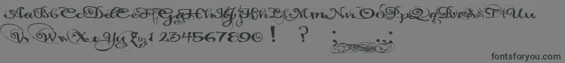 PaulsCaliforniaSolid Font – Black Fonts on Gray Background
