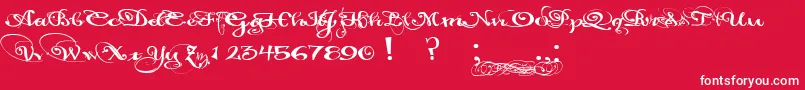 PaulsCaliforniaSolid-Schriftart – Weiße Schriften auf rotem Hintergrund
