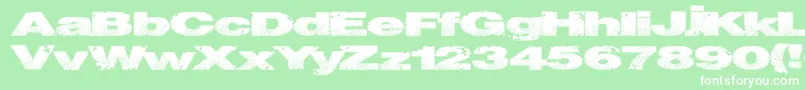 Snakestitch Font – White Fonts on Green Background