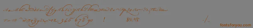 フォントChampignonaltswash – 茶色の文字が灰色の背景にあります。