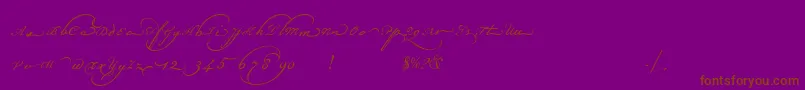 Champignonaltswash-Schriftart – Braune Schriften auf violettem Hintergrund