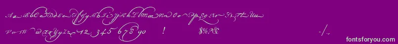 Champignonaltswash Font – Green Fonts on Purple Background