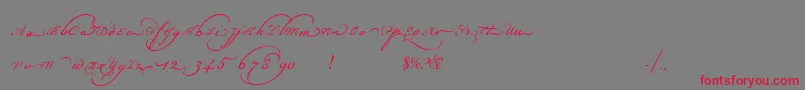 Champignonaltswash Font – Red Fonts on Gray Background