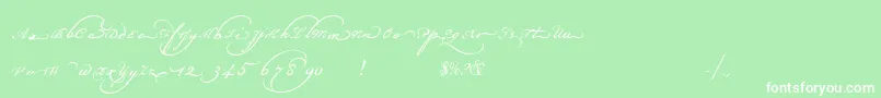 Champignonaltswash Font – White Fonts on Green Background