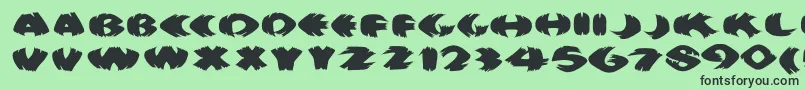Klitschkotiquaround Font – Black Fonts on Green Background