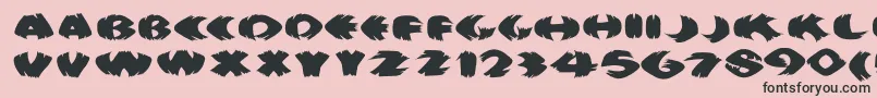Klitschkotiquaround Font – Black Fonts on Pink Background