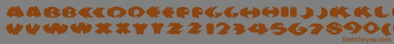 Klitschkotiquaround Font – Brown Fonts on Gray Background
