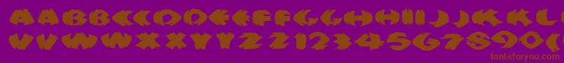 Klitschkotiquaround Font – Brown Fonts on Purple Background