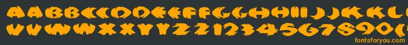 Klitschkotiquaround Font – Orange Fonts on Black Background