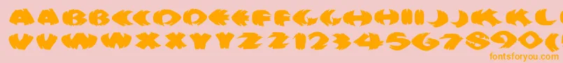 Klitschkotiquaround Font – Orange Fonts on Pink Background