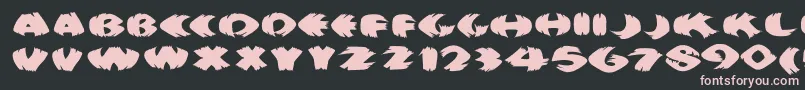 Klitschkotiquaround Font – Pink Fonts on Black Background