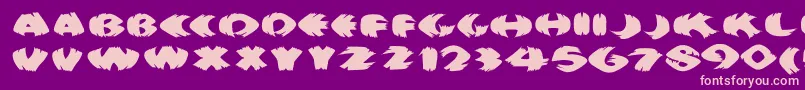 Klitschkotiquaround Font – Pink Fonts on Purple Background