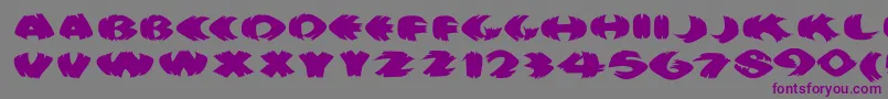 Klitschkotiquaround Font – Purple Fonts on Gray Background