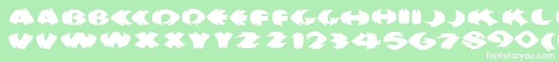 Klitschkotiquaround Font – White Fonts on Green Background