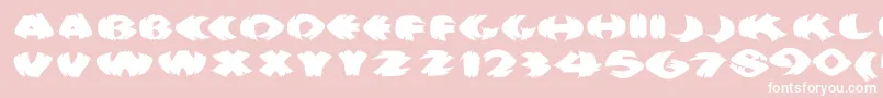 Klitschkotiquaround Font – White Fonts on Pink Background