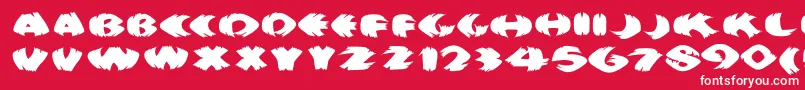 Klitschkotiquaround Font – White Fonts on Red Background