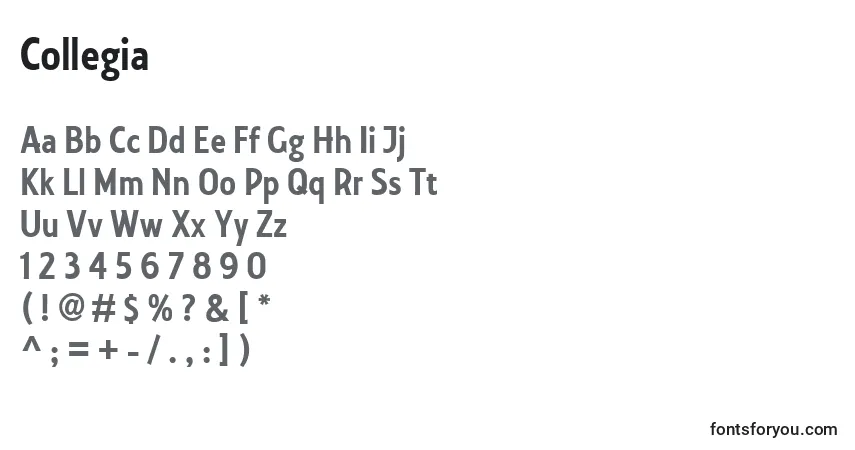 Czcionka Collegia – alfabet, cyfry, specjalne znaki