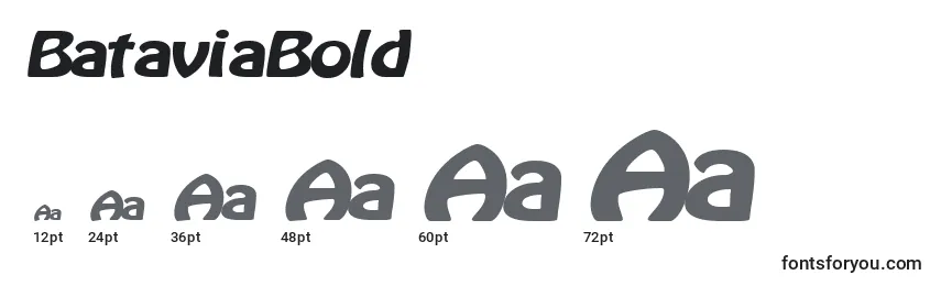 BataviaBold Font Sizes