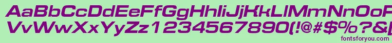 EurofontextendedcBolditalic Font – Purple Fonts on Green Background