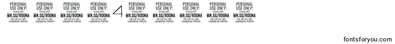 RoonasansthPersonalUse Font – Fonts for Numbers and Digits