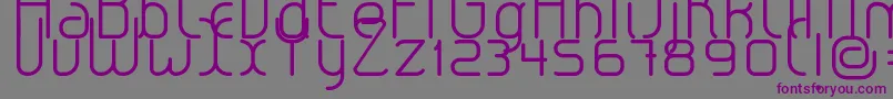LeroticaLight-fontti – violetit fontit harmaalla taustalla
