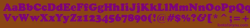 CooperBlackHeadlineBt Font – Purple Fonts on Brown Background