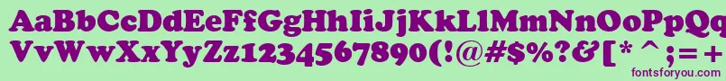 CooperBlackHeadlineBt Font – Purple Fonts on Green Background