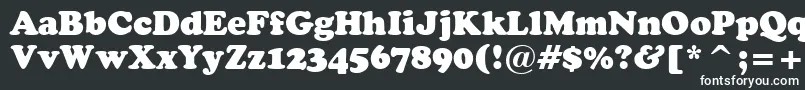 CooperBlackHeadlineBt Font – White Fonts on Black Background