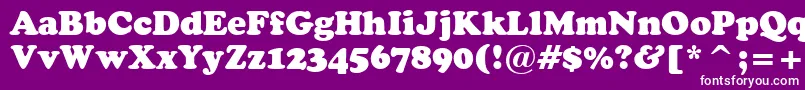 CooperBlackHeadlineBt Font – White Fonts on Purple Background