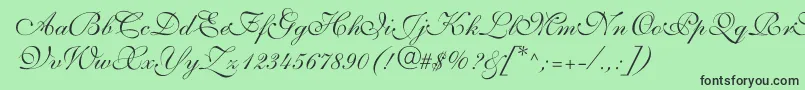 ShelleyvolantescriptNormal Font – Black Fonts on Green Background