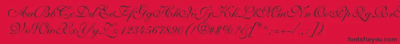 ShelleyvolantescriptNormal Font – Black Fonts on Red Background