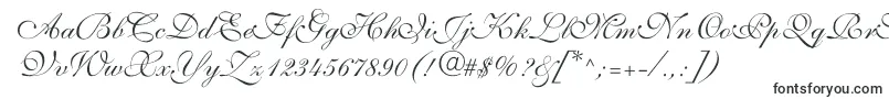 ShelleyvolantescriptNormal Font – Catalog