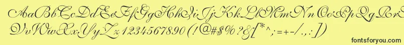 ShelleyvolantescriptNormal Font – Black Fonts on Yellow Background