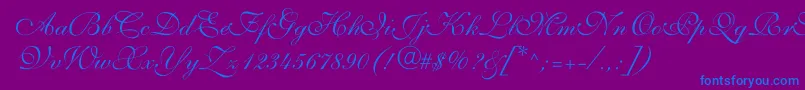 ShelleyvolantescriptNormal-Schriftart – Blaue Schriften auf violettem Hintergrund