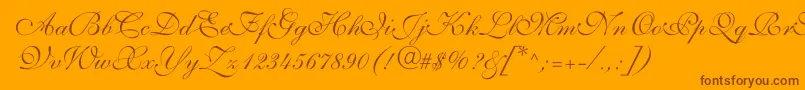 ShelleyvolantescriptNormal Font – Brown Fonts on Orange Background