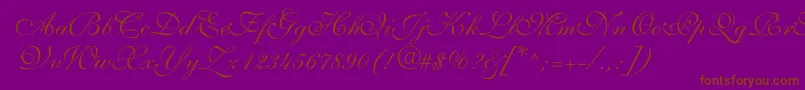 ShelleyvolantescriptNormal Font – Brown Fonts on Purple Background
