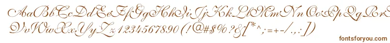 ShelleyvolantescriptNormal Font – Brown Fonts